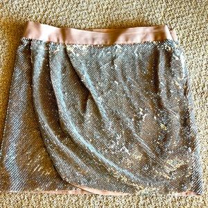 Haute hippie sequin skirt